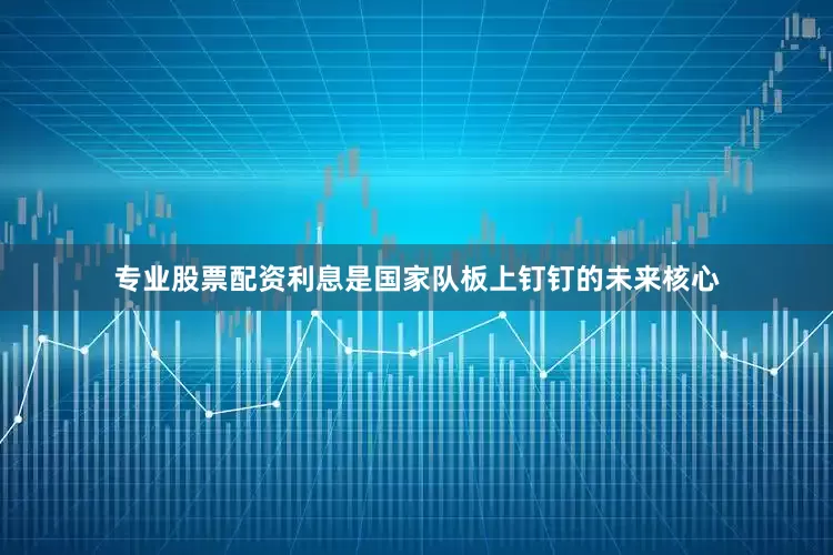 专业股票配资利息是国家队板上钉钉的未来核心